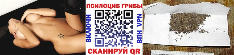 Псилоцибиновые грибы ЛСД  купить наркотик  Пенза 